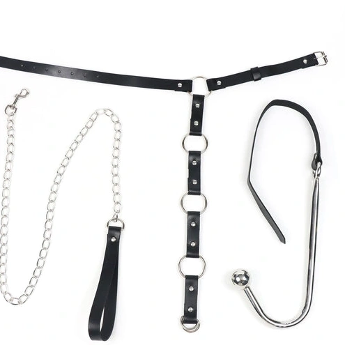 Anal Hooks 5853 EverydayUse Hook and Collar Kinky Anal Leash with 1006